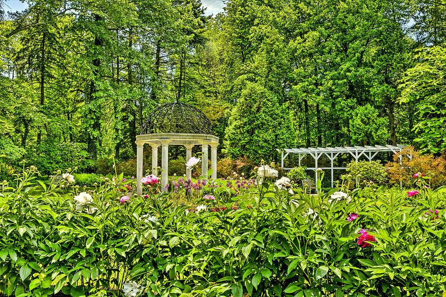 Sayen Gardens Hamilton Nj Photograph