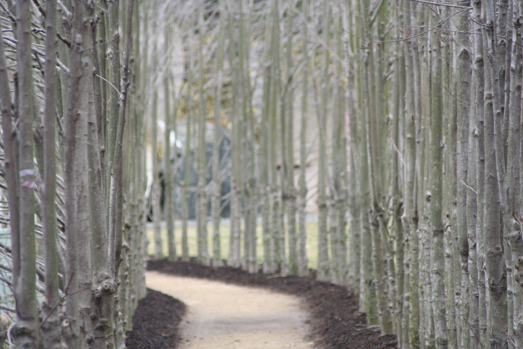 23 Sculpture Garden Hamilton NJ Ideas You Cannot Miss SharonSable