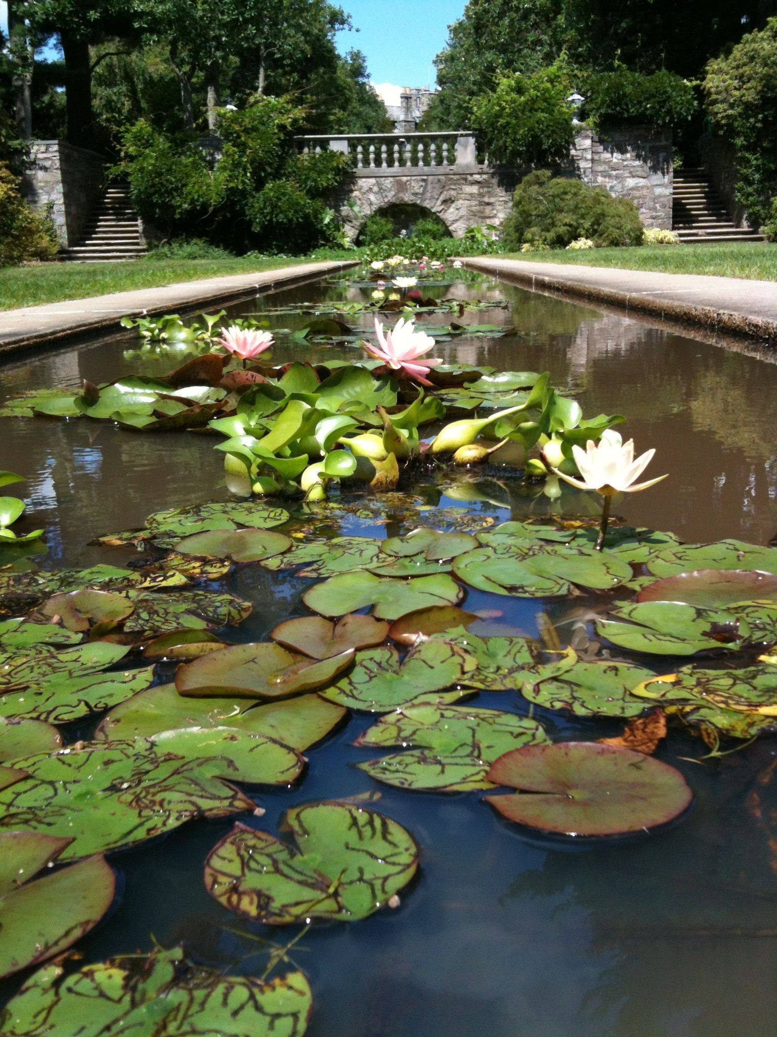 Skylands Weddings Manor New Jersey Botanical Gardens Weddings Nj