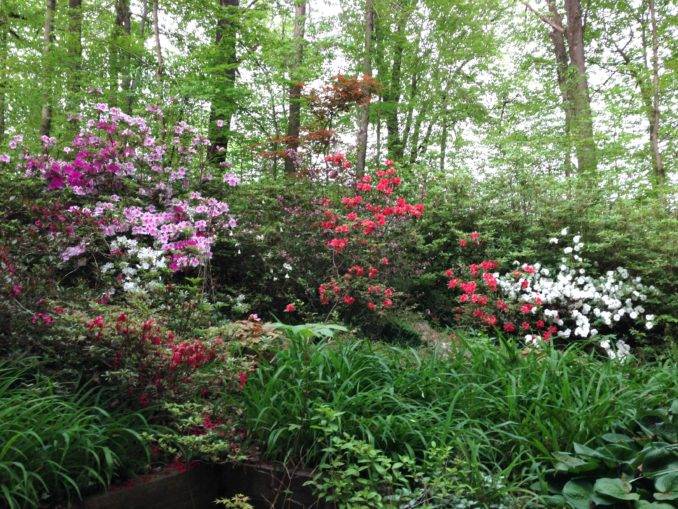Pinterest Gardens