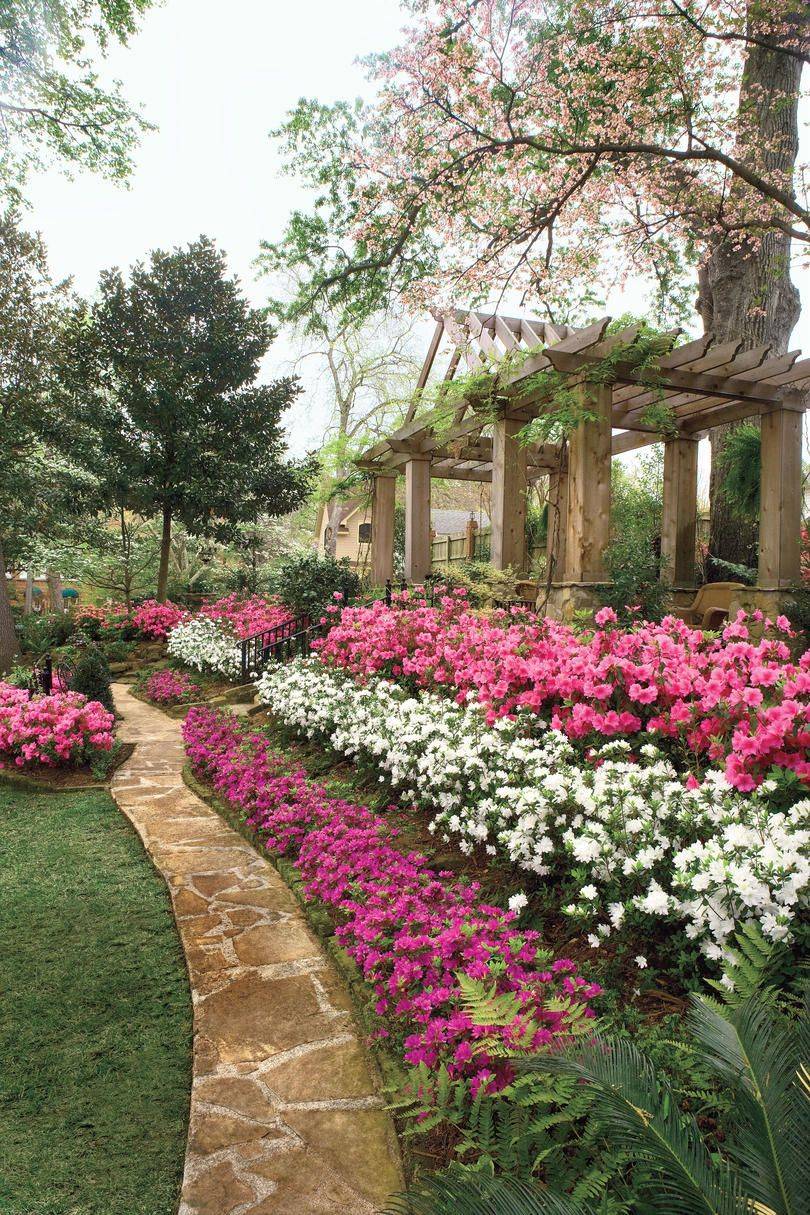 Azaleas Landscaping Garden Design