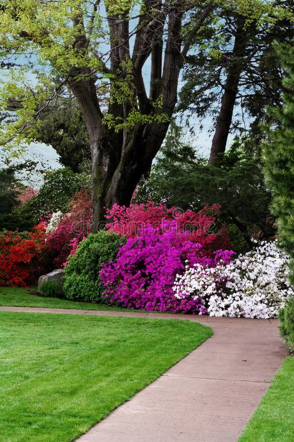 A Garden