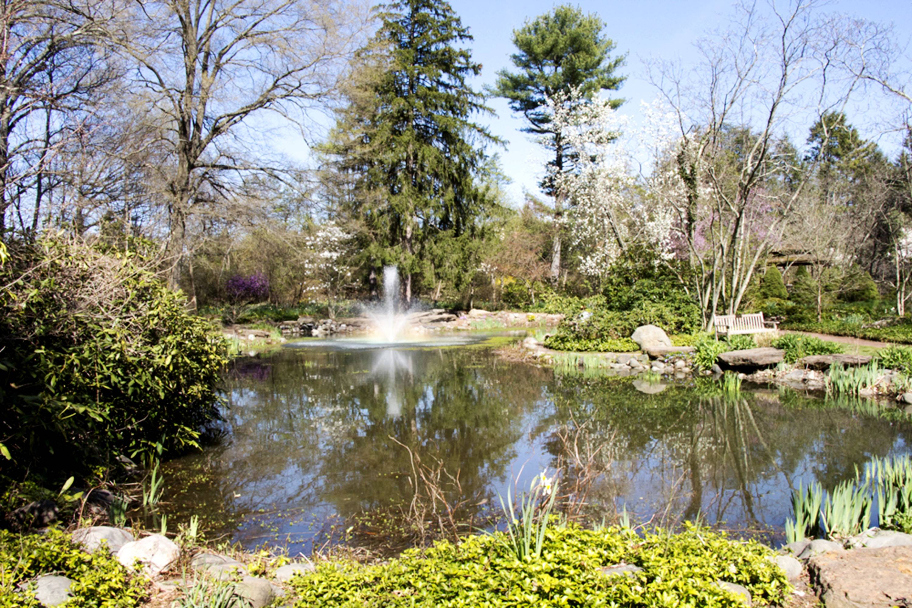 Httpwwwbuddymurphycom Sayens Gardens Garden Photos