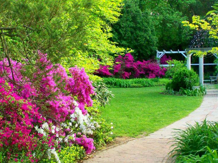 Sayen Gardens Picture