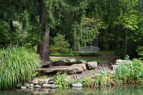 Sayen Gardens First Blooms