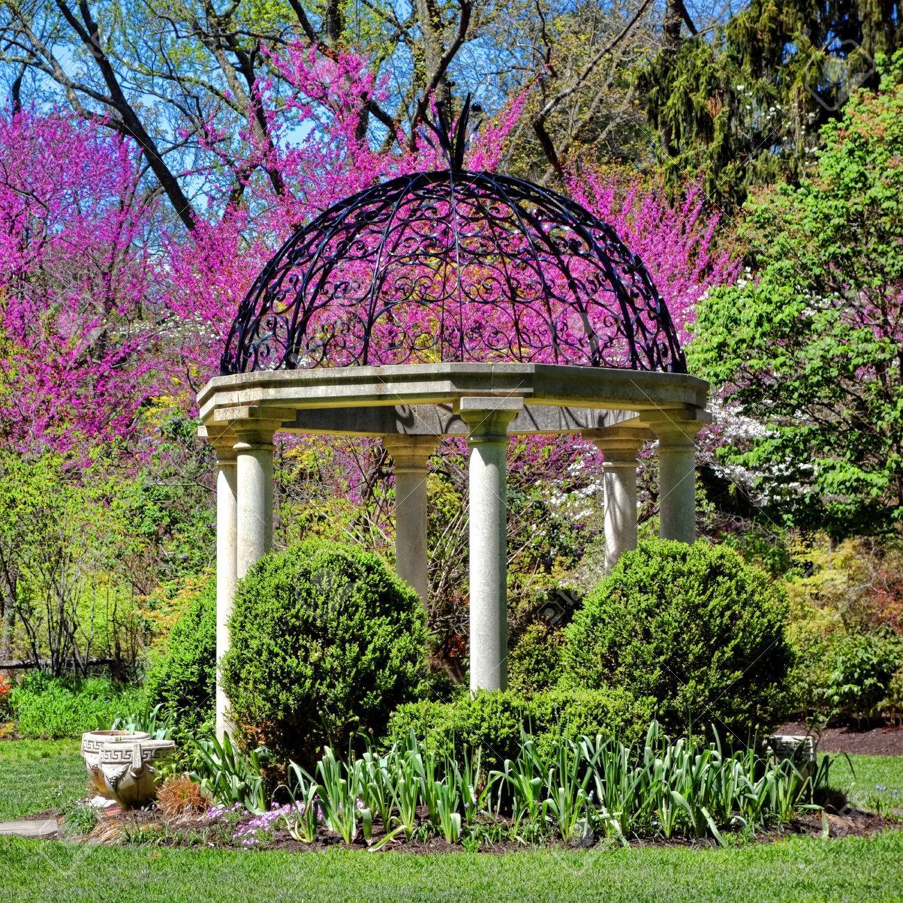 Sayen Gardens Petals