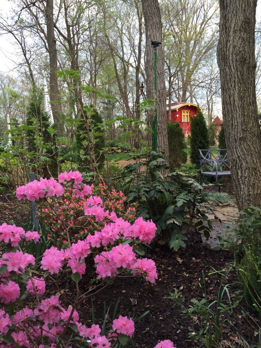 Azalea Festival Flickr Photo Sharing