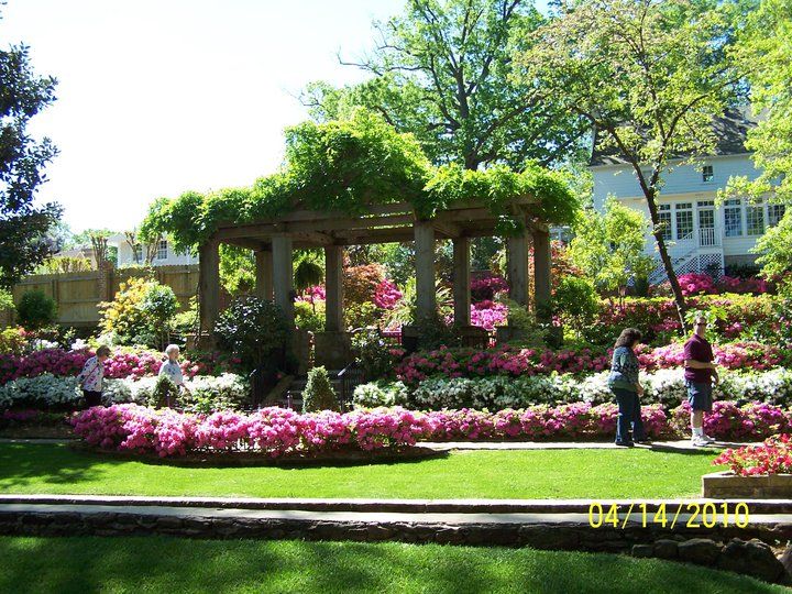 17 Sayen Garden Azalea Festival Ideas You Should Look SharonSable