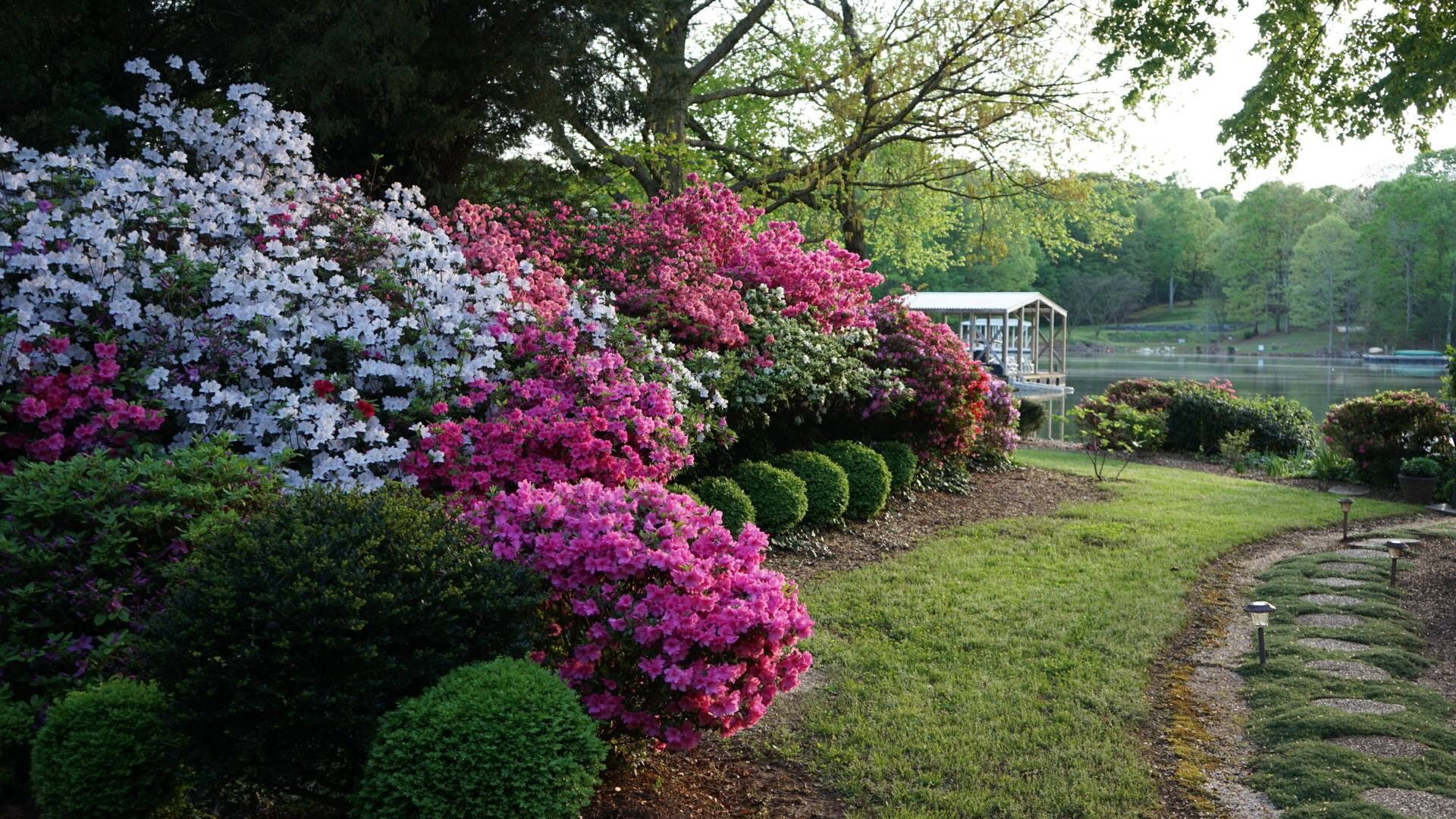 The Azalea Festival