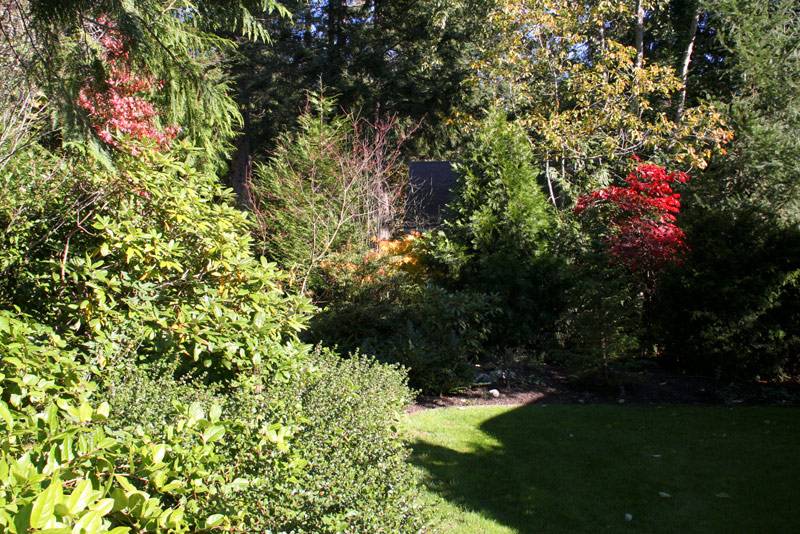Lowell Garden Design