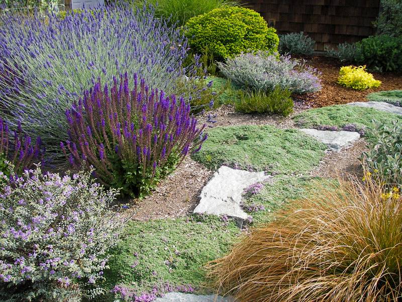 Lowell Garden Design