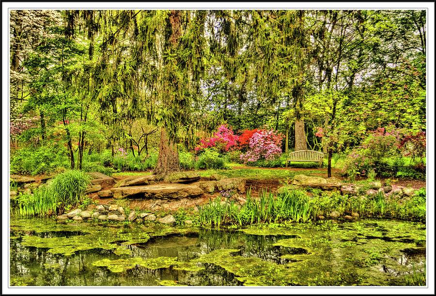 Sayen Gardens Hamilton Square Nj