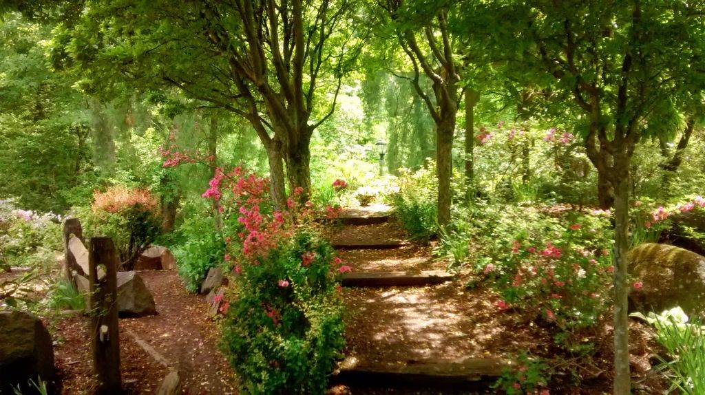 Jordan Arabia Weddings