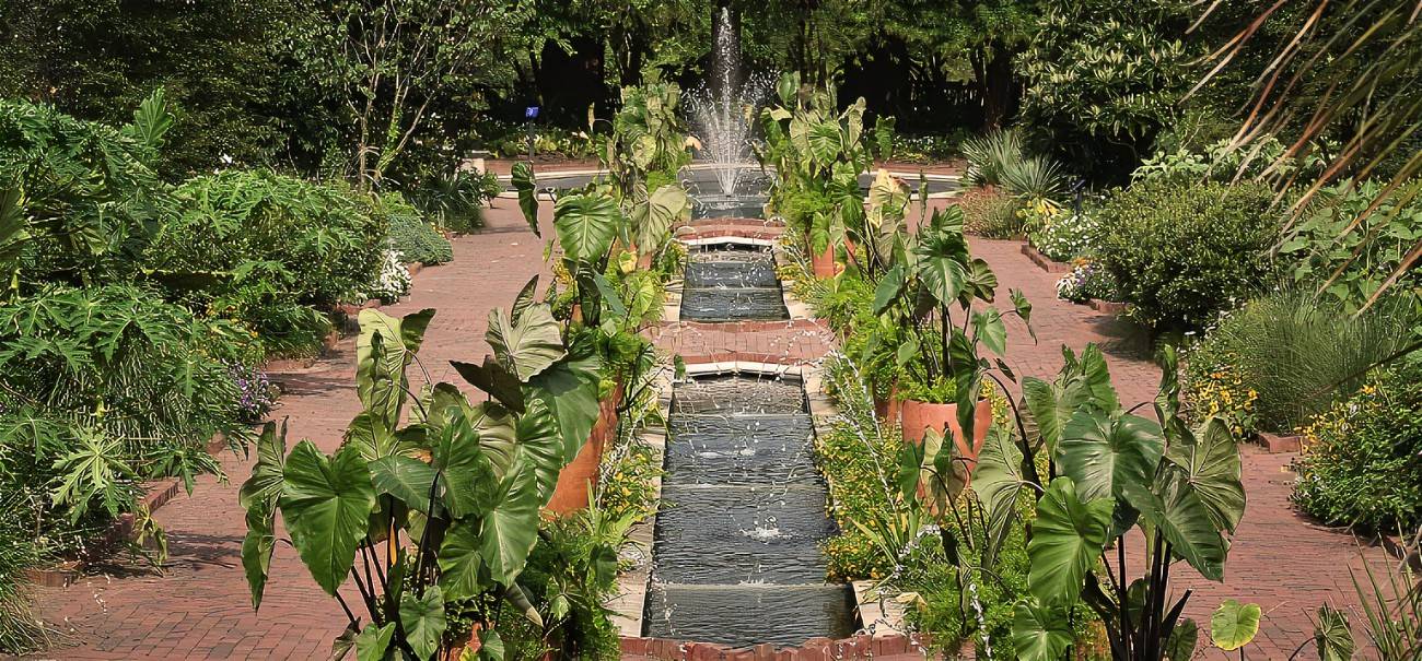 Denver Parking Denver Botanic Gardens Tips