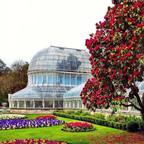 Extraordinary Botanical Garden Winter Park