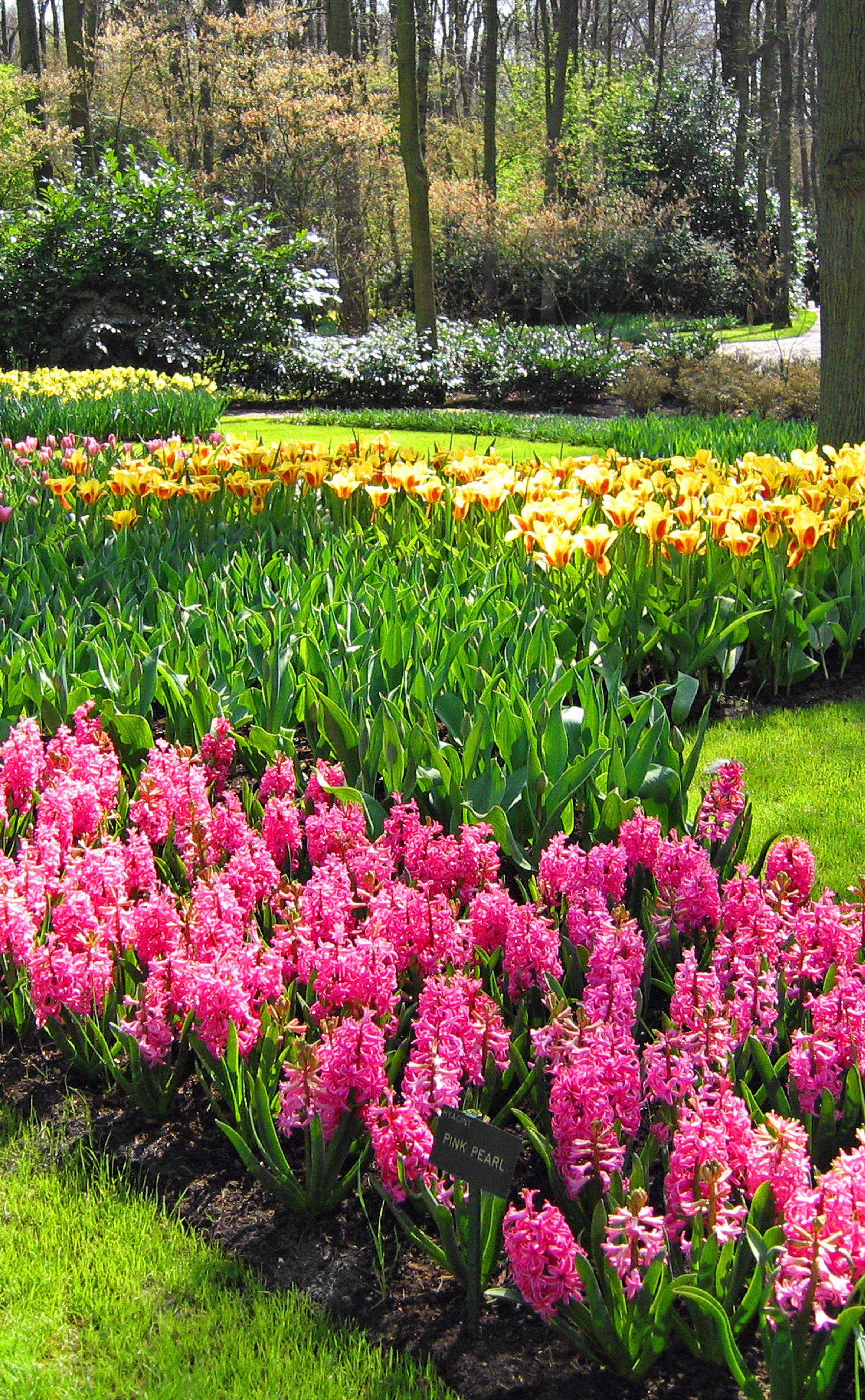 Botanical Garden Building