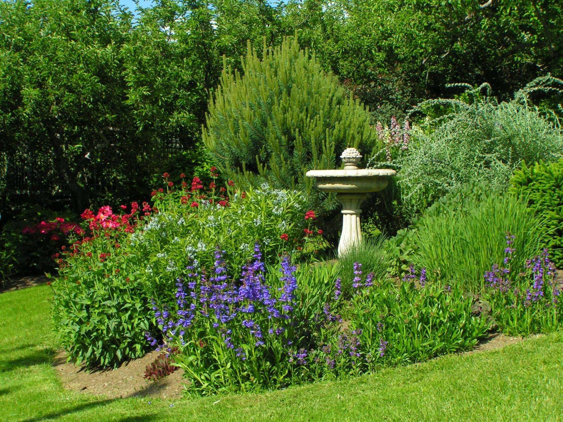 Google Search Backyard Landscaping Designs