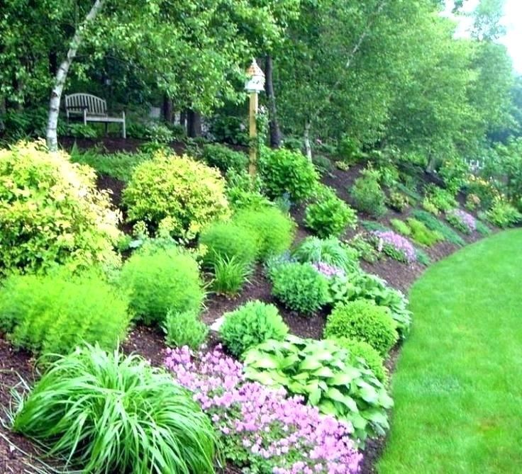 Idea Brilliant Landscaping Berms