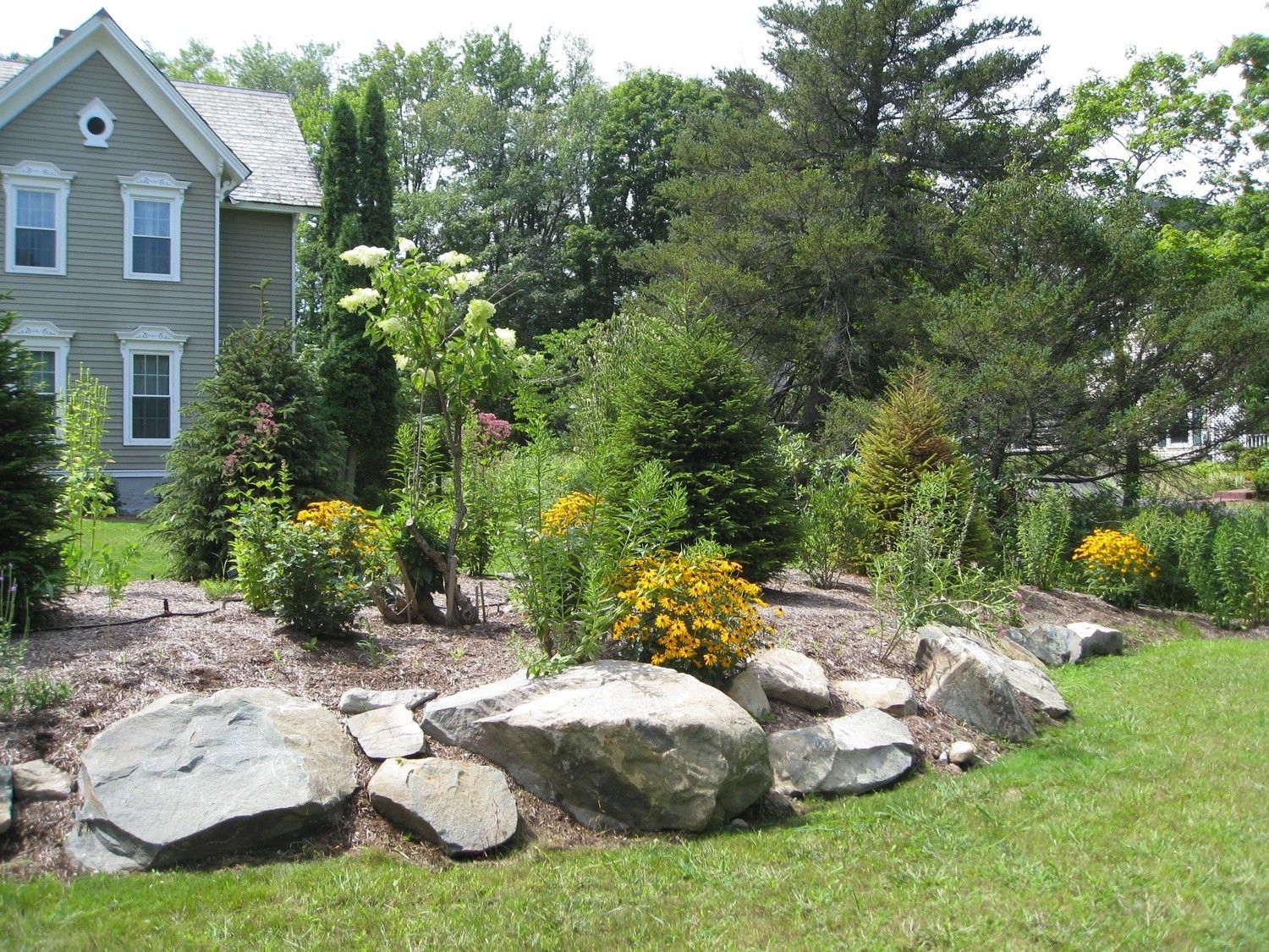 Colorado Landscaping Ideas