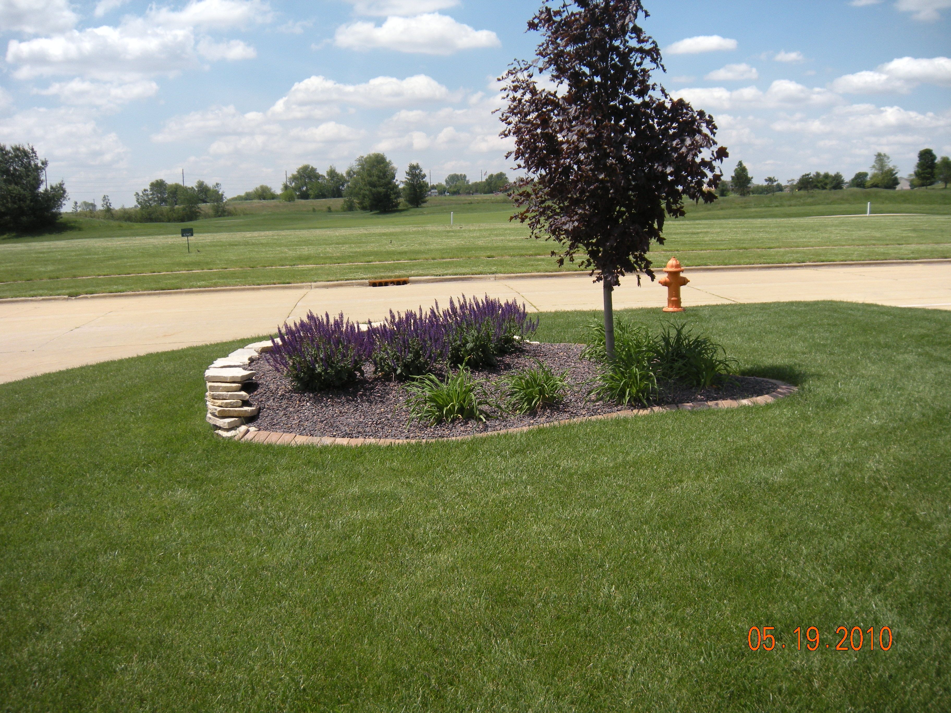 Landscaping Front Backyard Garden Layout