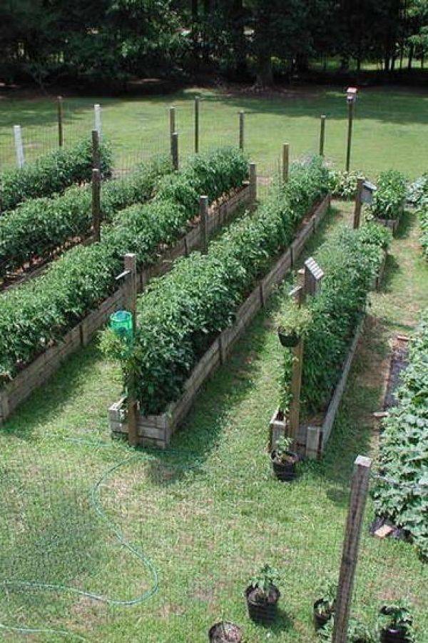 Seriously Jaw Dropping Urban Gardens Ideas