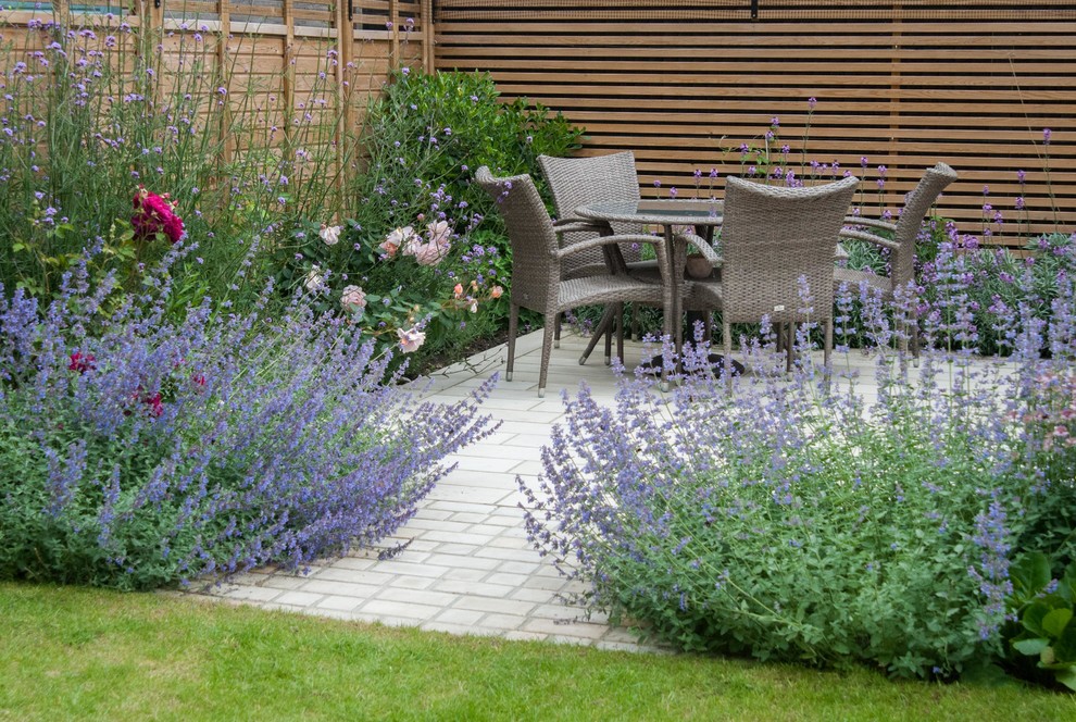 Small Contemporary Garden Blackheath Contemporary Landscape