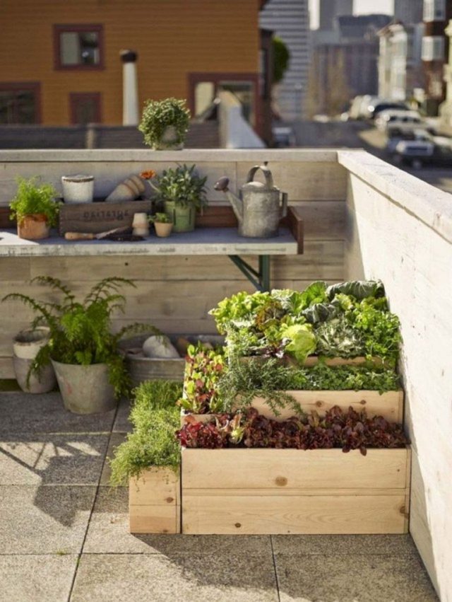 Small Space Gardening
