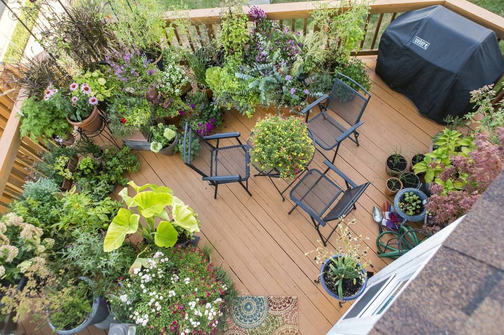 Backyard Garden Ideas