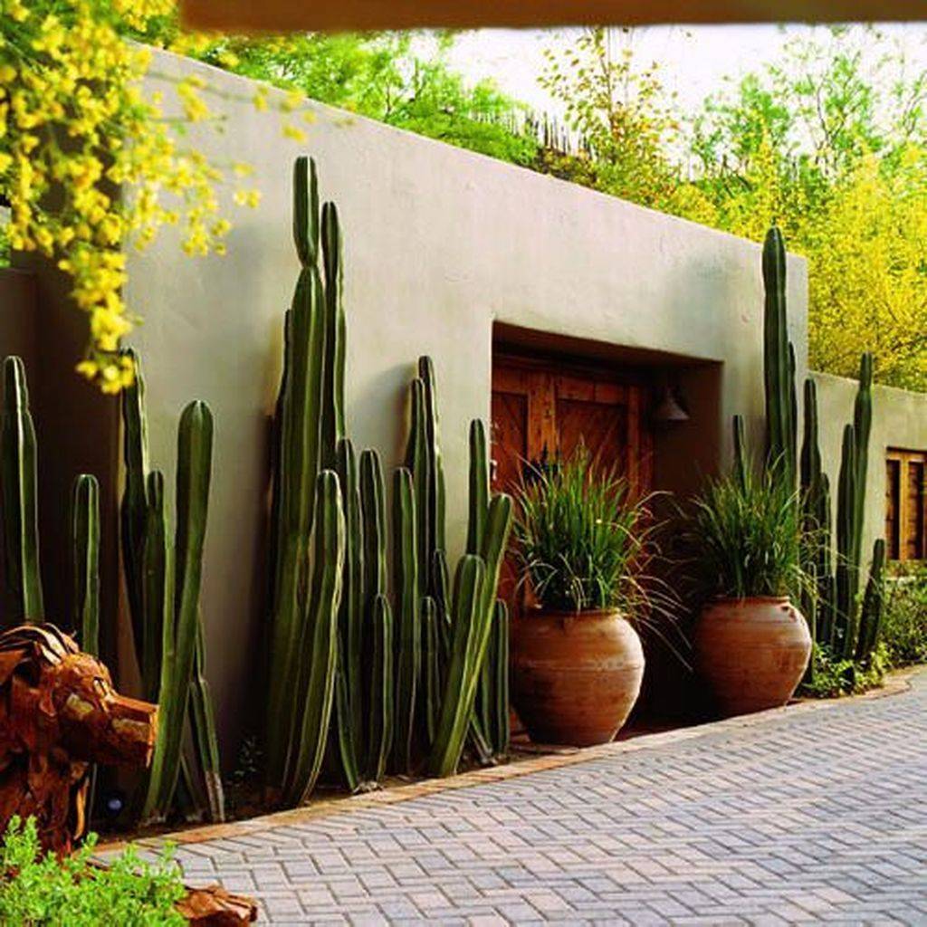Creative Southwestern Garden Designs