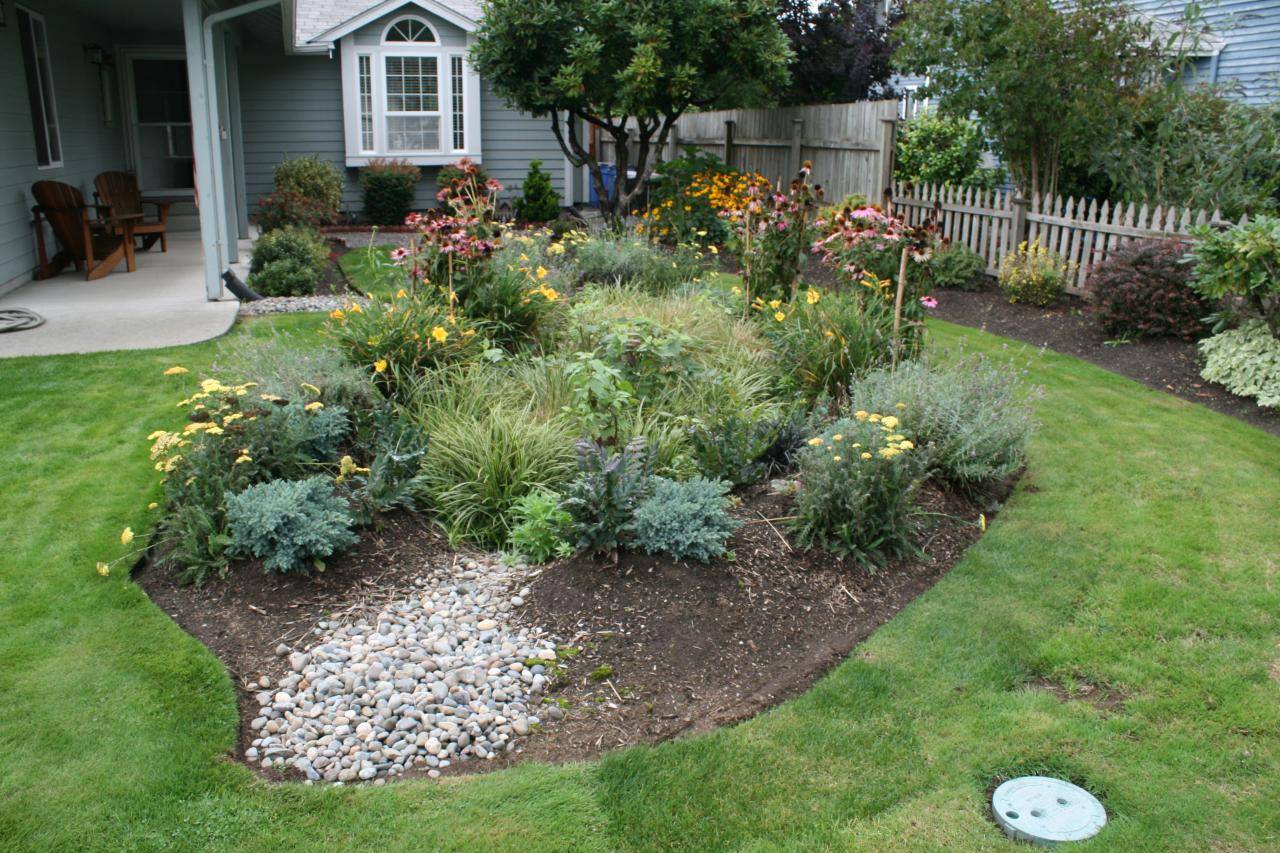 Brilliant Diy Rain Garden Ideas