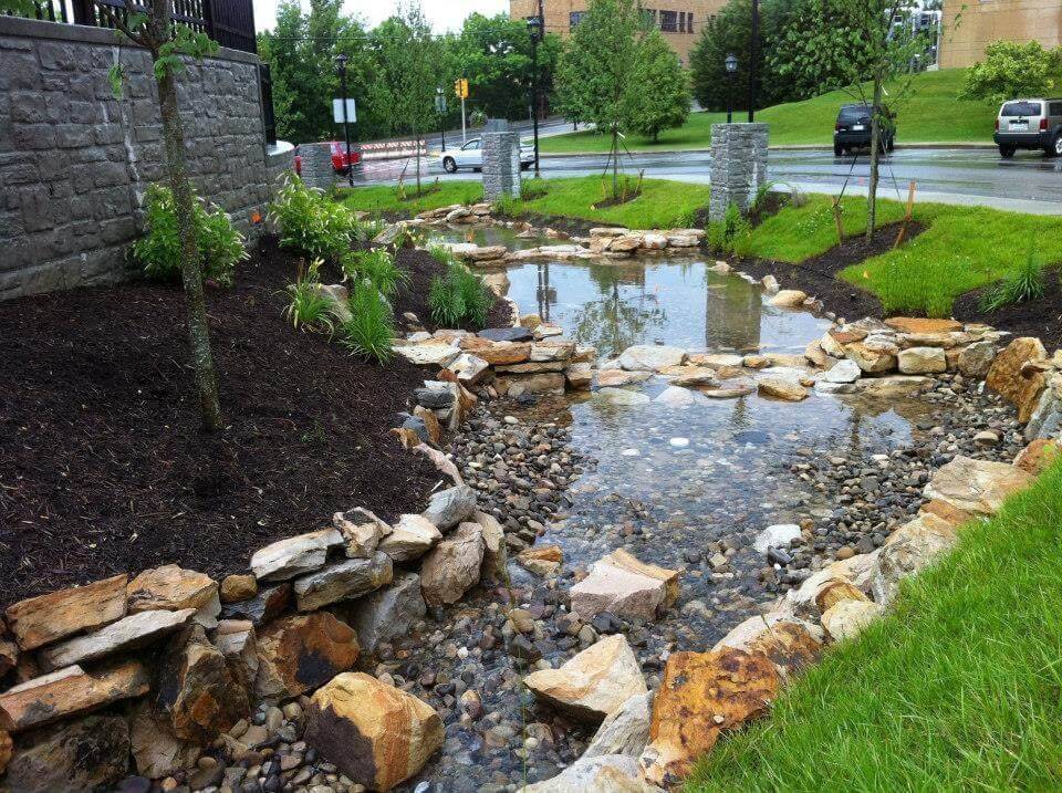 Brilliant Diy Rain Garden Ideas