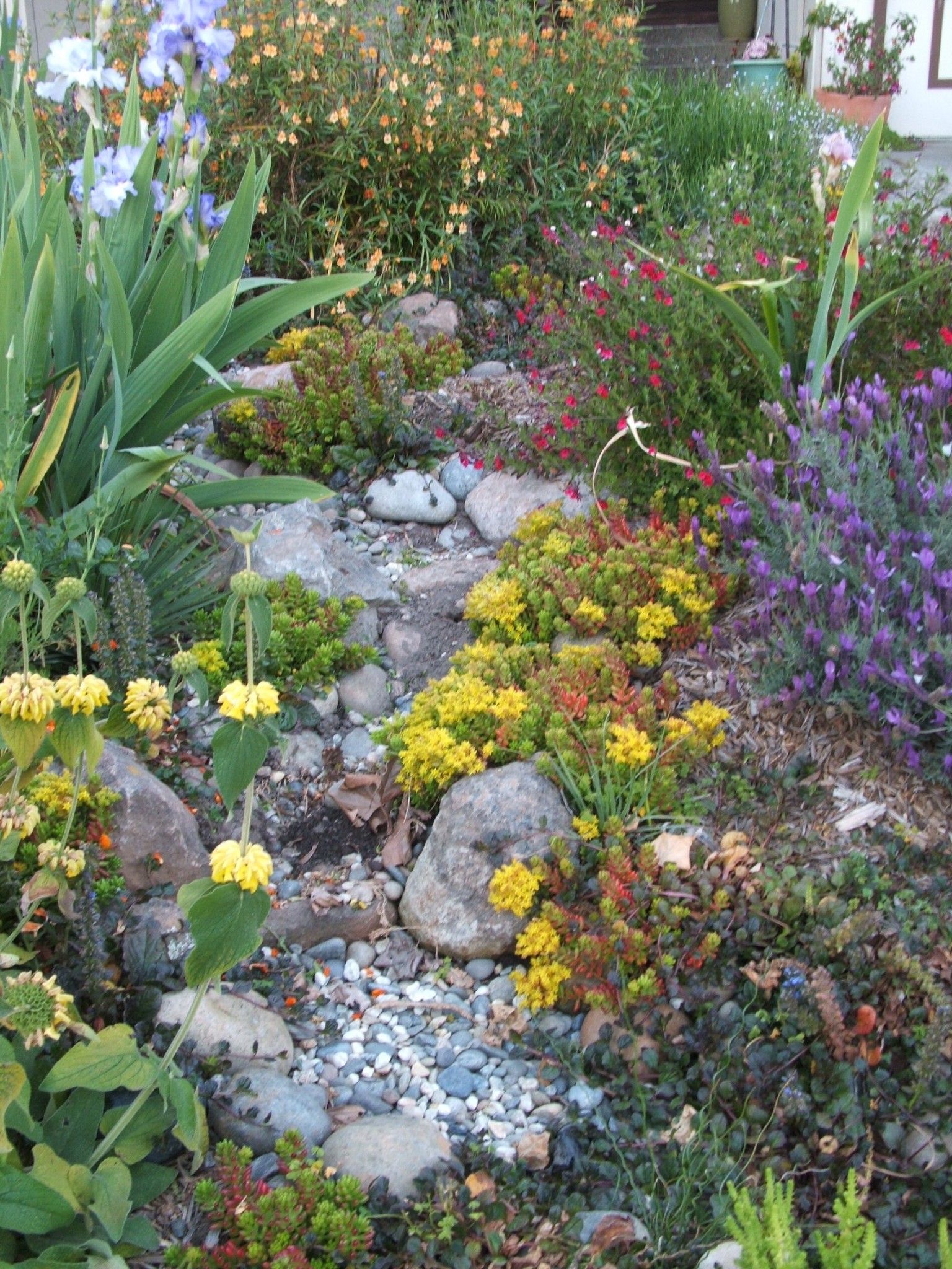 Brilliant Diy Rain Garden Ideas
