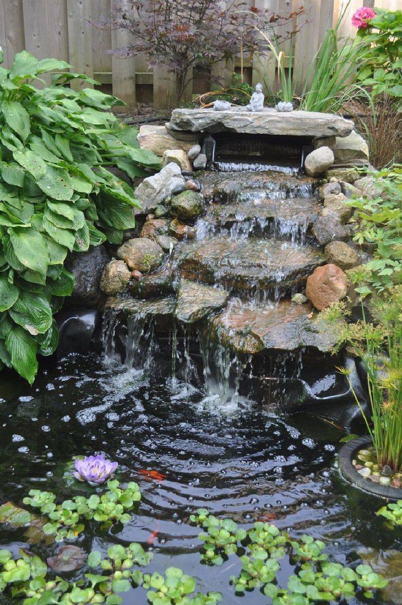 Diy Garden Pond Waterfall Ideas