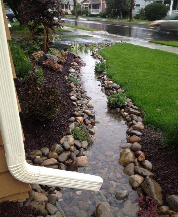 Cool Diy Rain Garden Steps And Plants Ideas