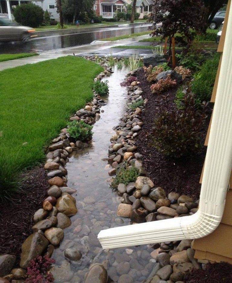 Brilliant Diy Rain Garden Ideas