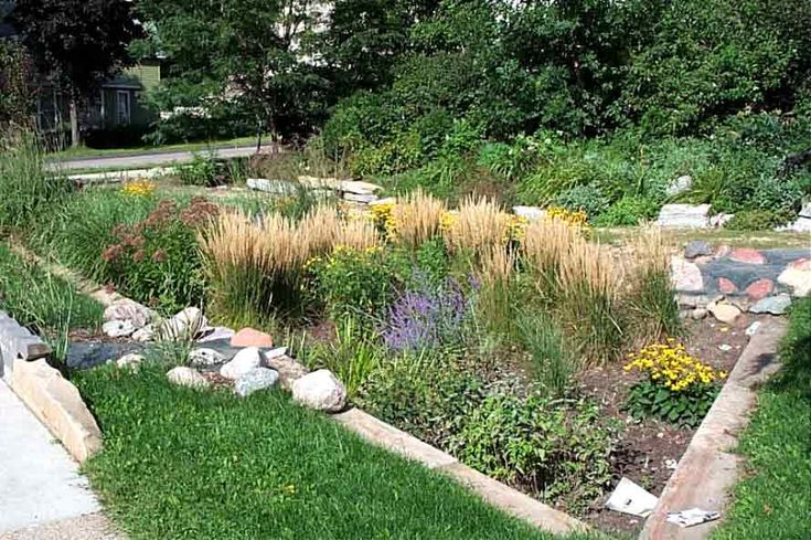 Great Rain Garden Landscaping Design Ideas