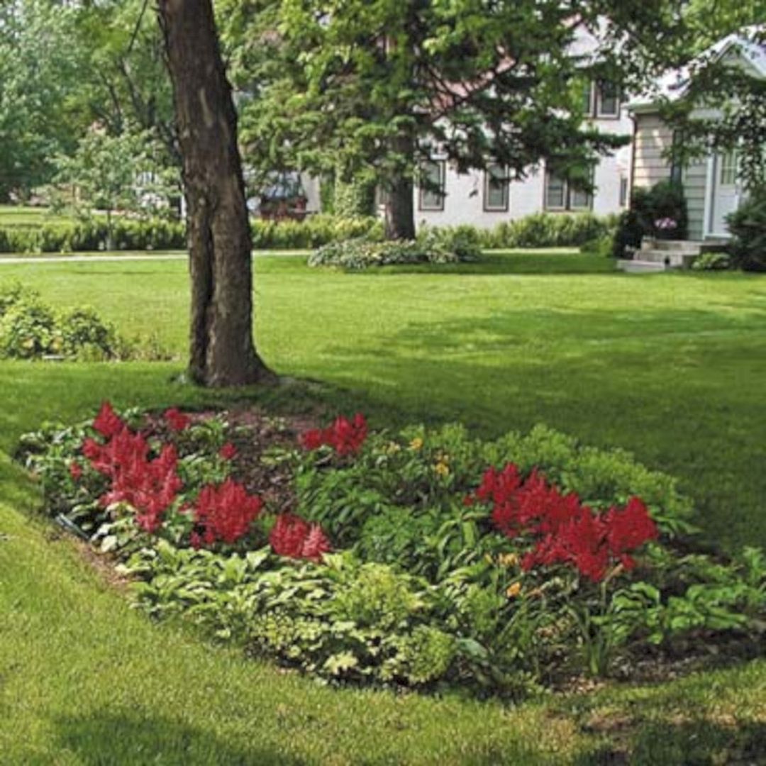Great Rain Garden Landscaping Design Ideas Page Gardenholic