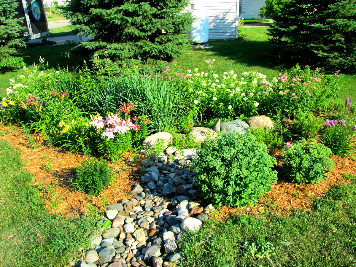 Rain Garden Designing Buildings Wiki
