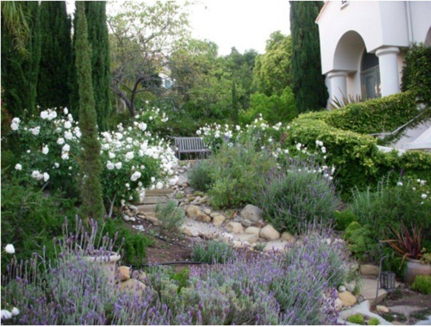 How Does Your Mediterranean Garden Grow Bridgman Courtyard Gardens