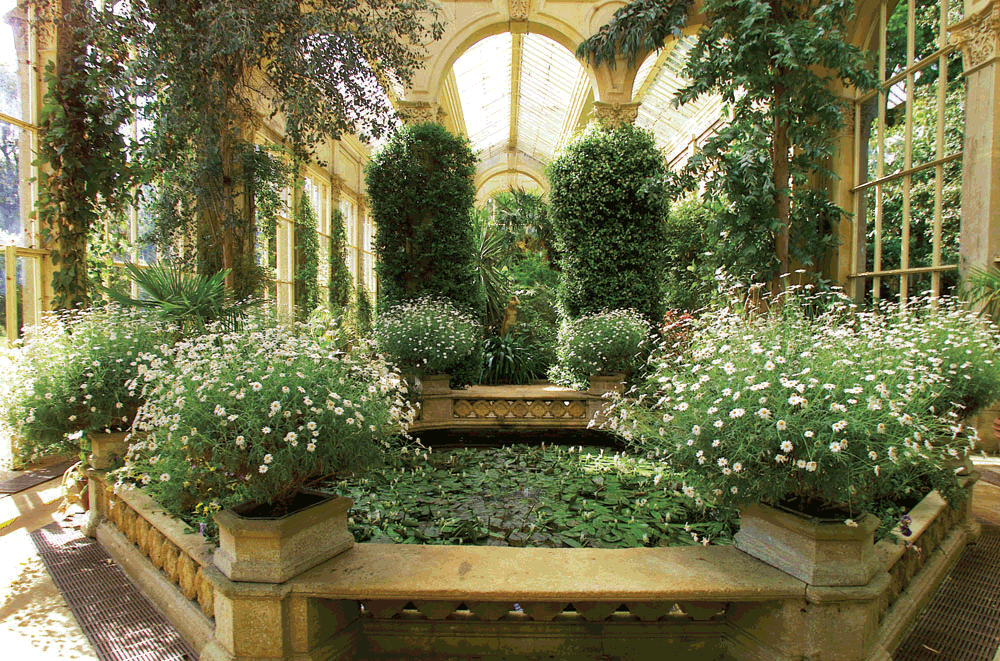 Modern Italian Garden