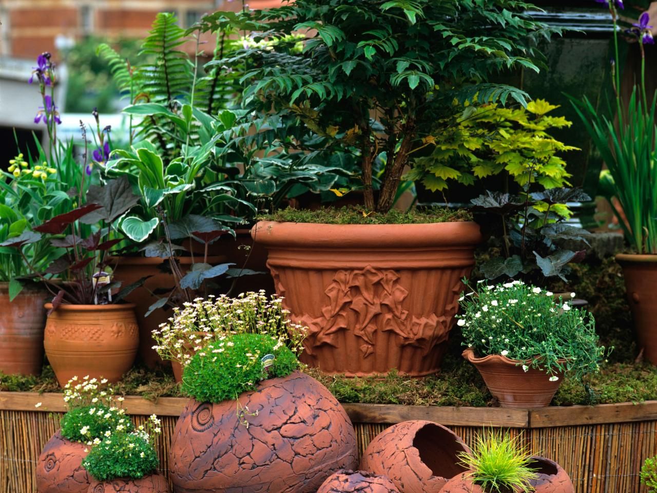 Kitchen Garden Terracotta Pot