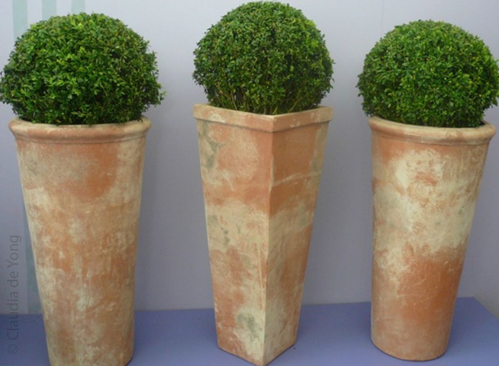 Campania International Handle Jar Sandblasted