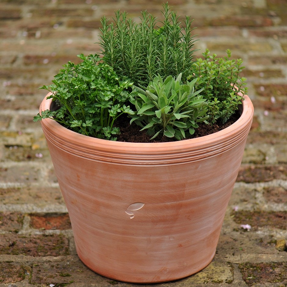Pin On Yard