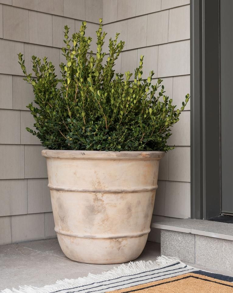Terracotta Pot Square