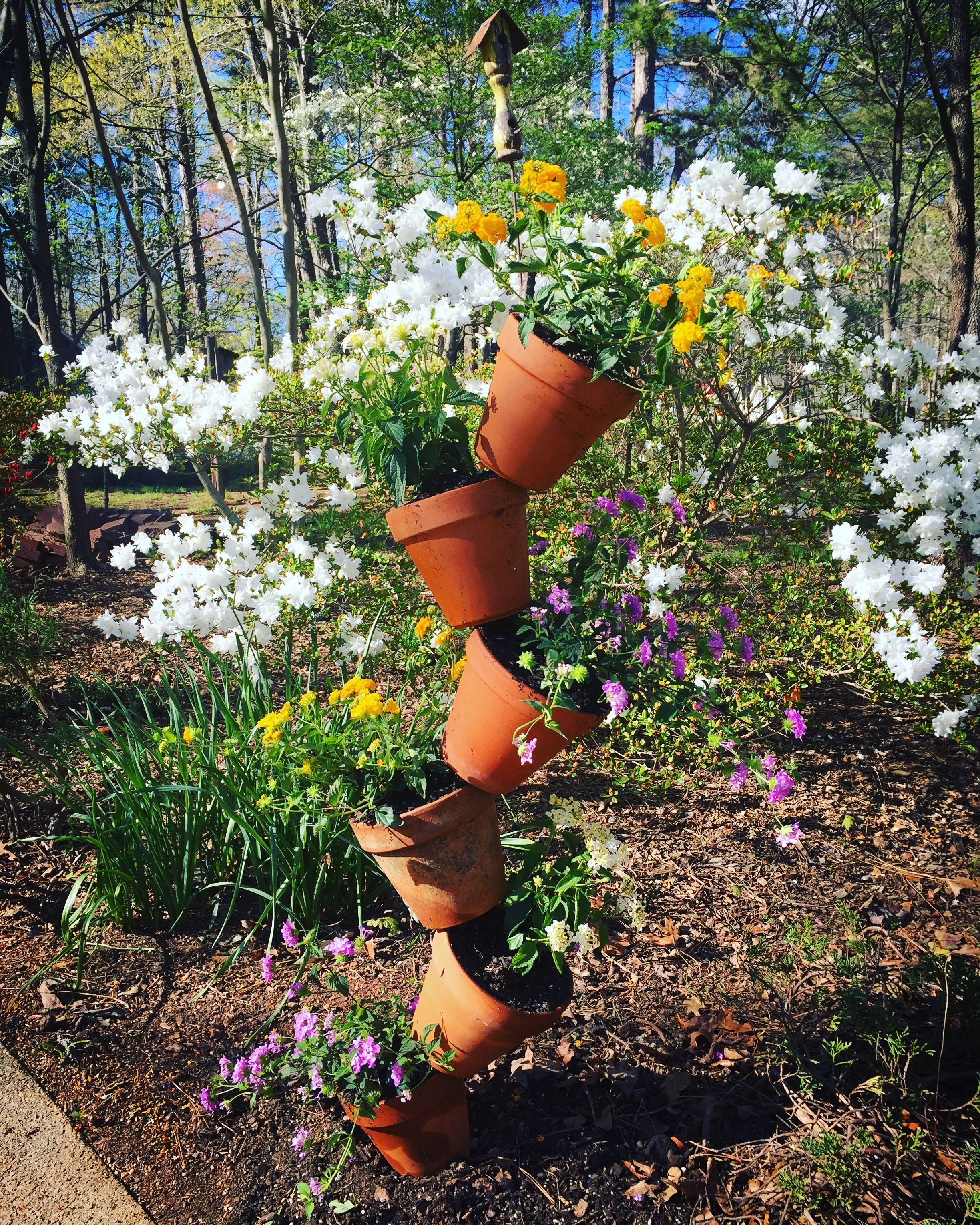 This Tall Elegant Pot