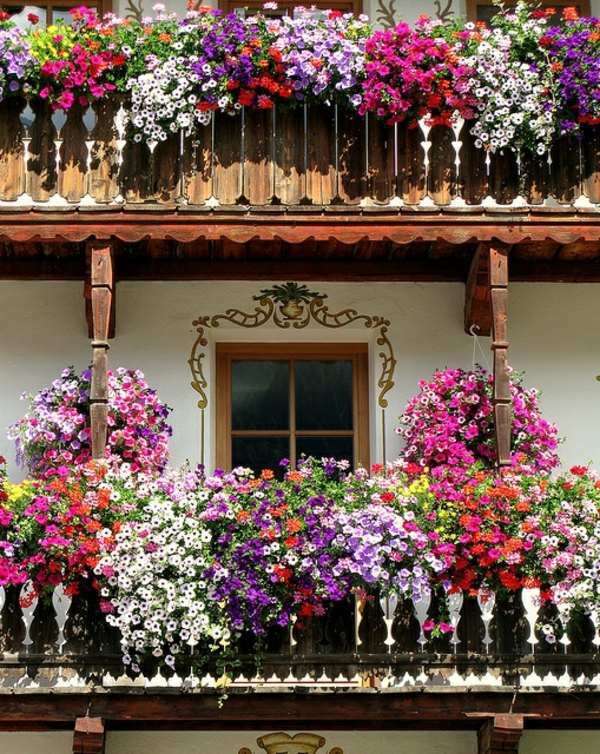 Balcony Patio And Courtyard Gardening In With Images Small