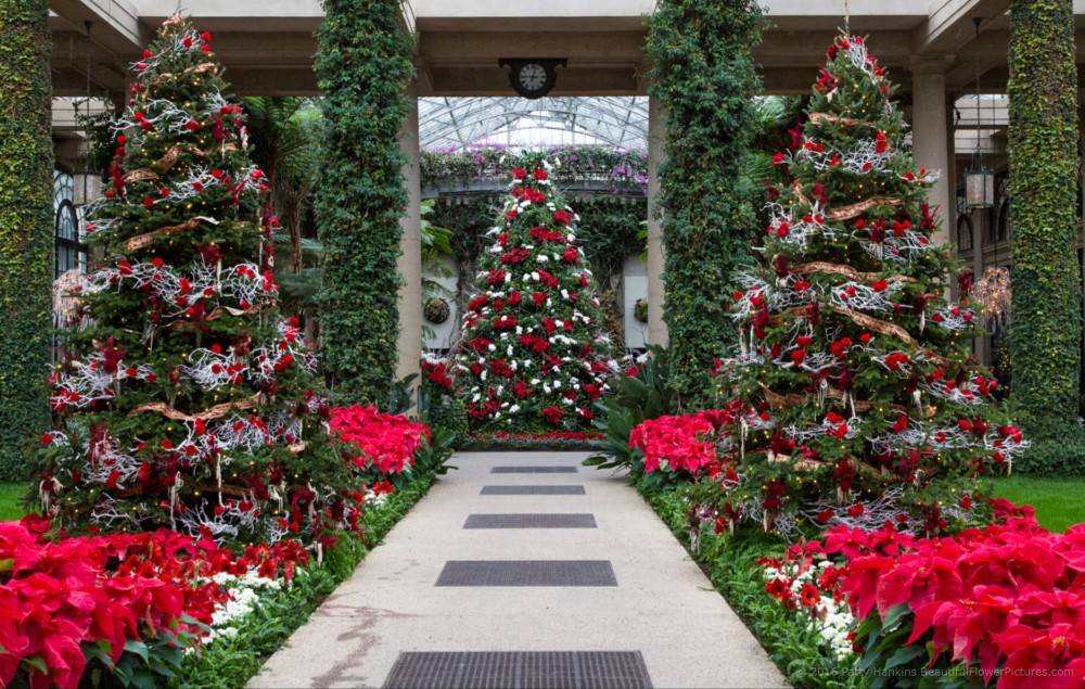 Longwood Gardens Totus Tuus Family