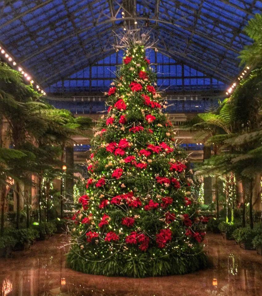 Longwood Gardens Totus Tuus Family