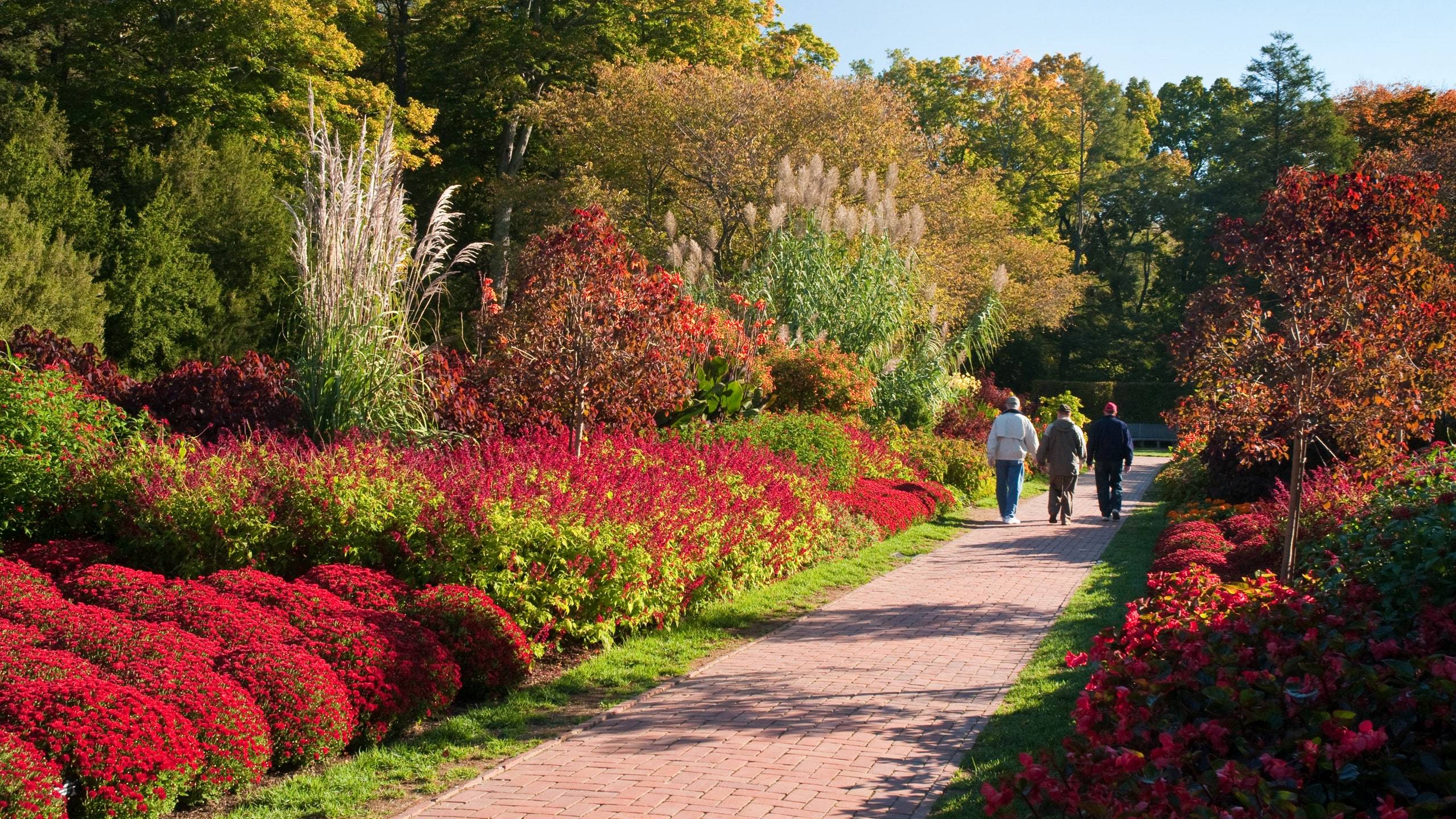 Delaware Longwood Gardens