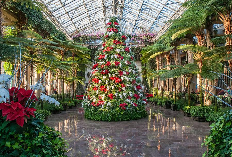 Holiday Longwood Gardens Holiday Decor